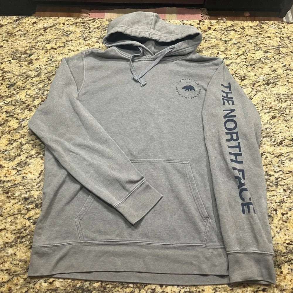 The North Face Mens XL Grey Bear Graphic Sleeve Logo Pullover Hoodie Sweatshirt